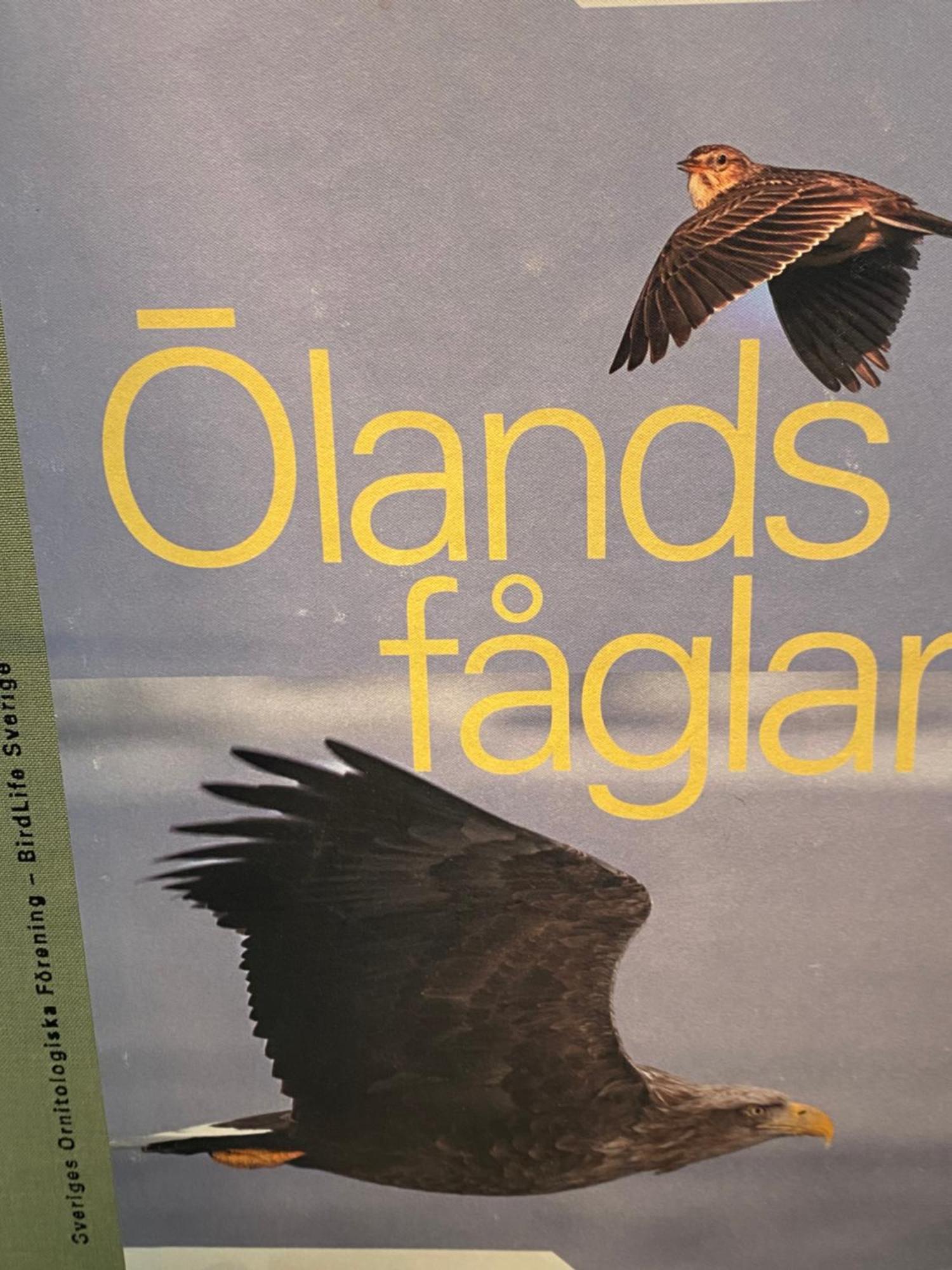 Апартаменты Idyliska Boende Mitt Pa Oeland Ферьестаден Экстерьер фото